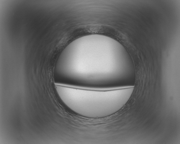 X0000060260031200510281020