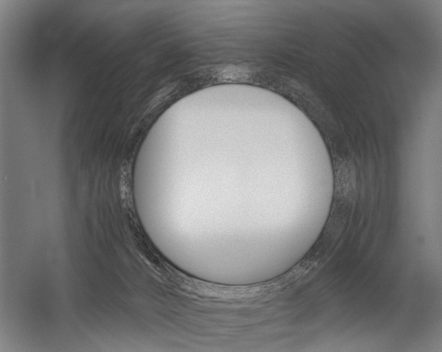 X0000060260032200510281020