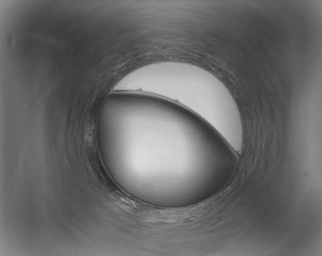 X0000060260033200510281020