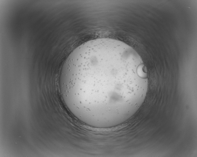 X0000060260034200510281020