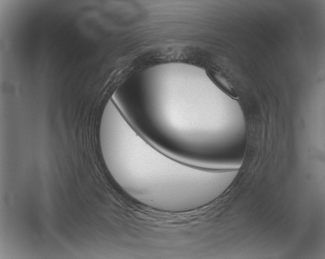 X0000060260035200510281020