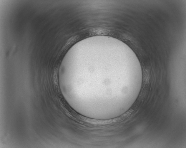 X0000060260036200510281020