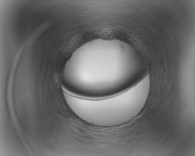 X0000060260037200510281020