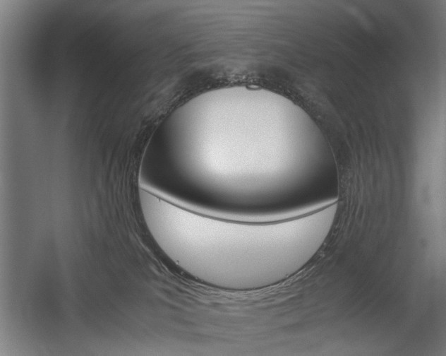 X0000060260039200510281020