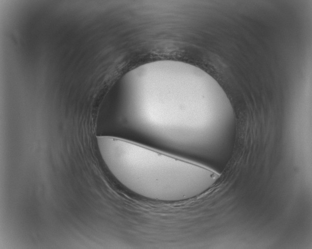 X0000060260040200510281020