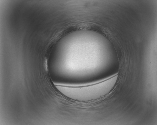 X0000060260041200510281020