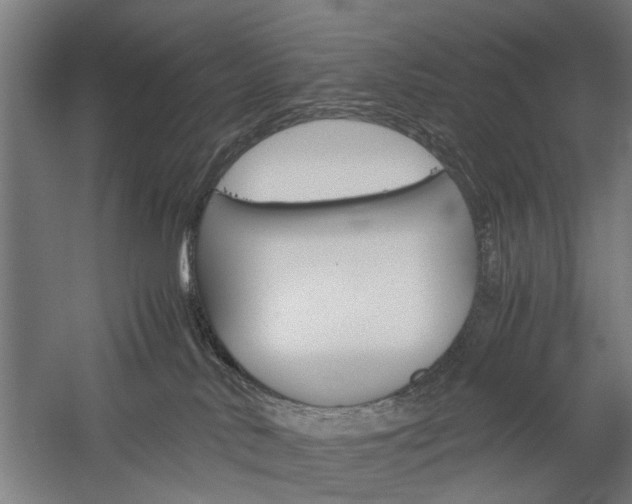 X0000060260042200510281020