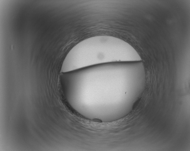 X0000060260043200510281020