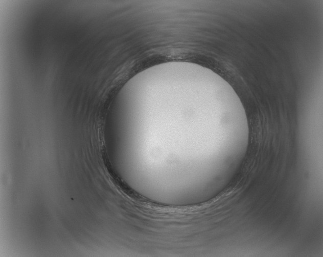 X0000060260044200510281020