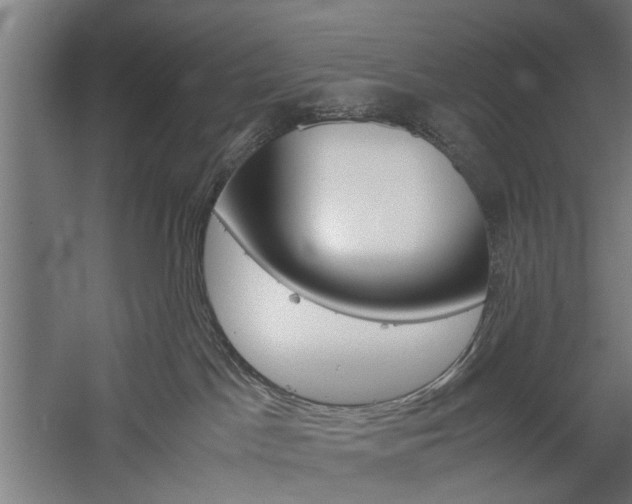 X0000060260045200510281020