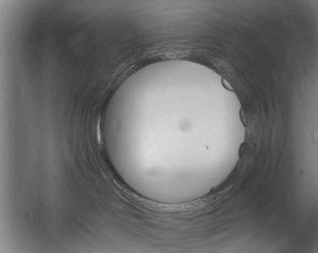 X0000060260046200510281020