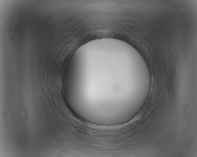 X0000060260048200510281020