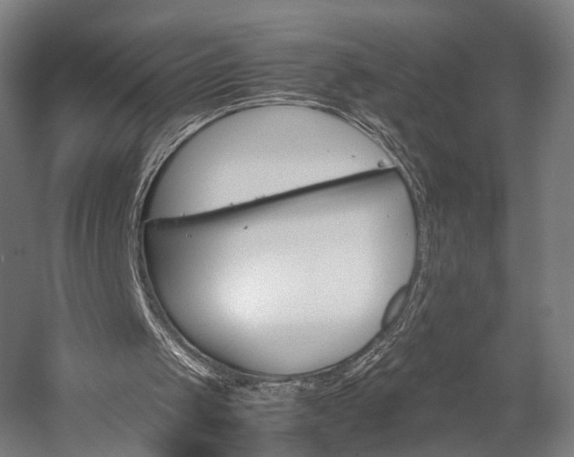 X0000060260049200510281019