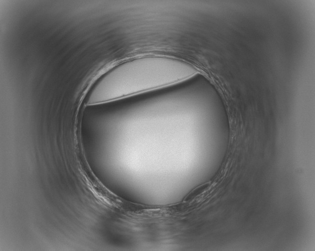 X0000060260050200510281019