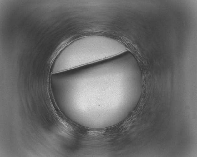 X0000060260051200510281019