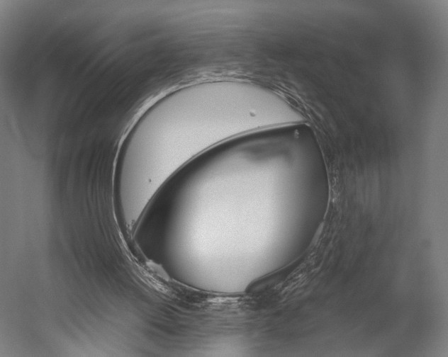 X0000060260052200510281019