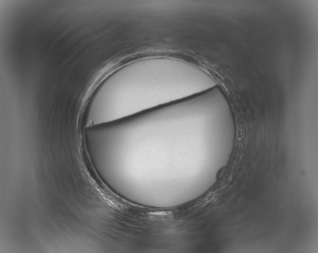 X0000060260053200510281019