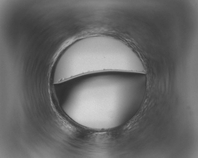 X0000060260054200510281019