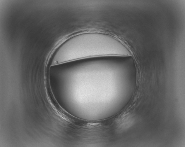 X0000060260055200510281019