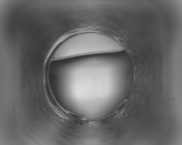 X0000060260056200510281019