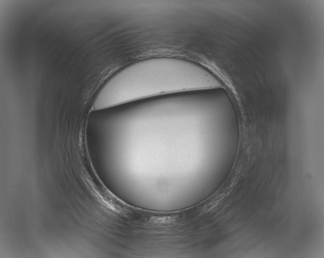 X0000060260057200510281019