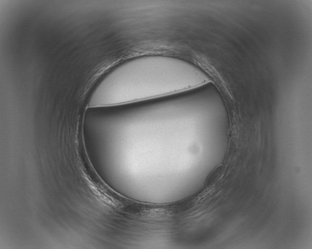 X0000060260058200510281019