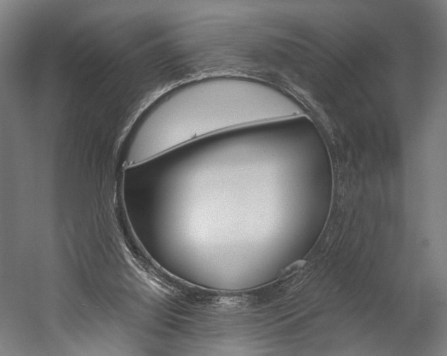 X0000060260060200510281019