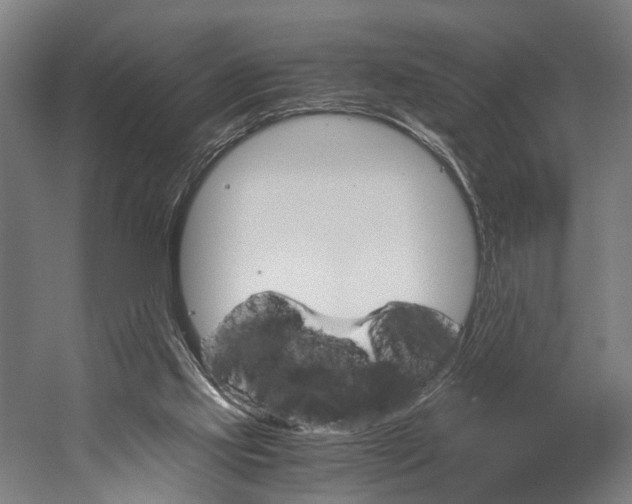 X0000060260061200510281019