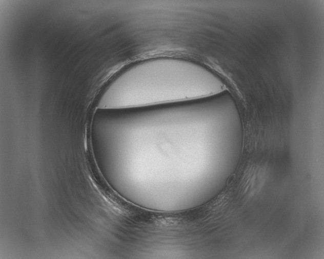 X0000060260062200510281019