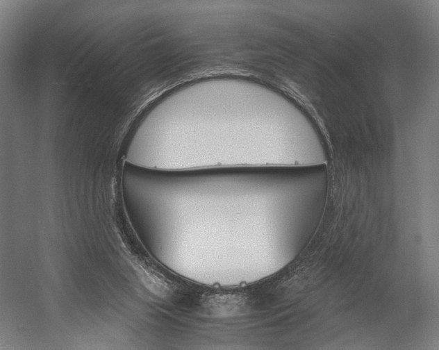 X0000060260063200510281019