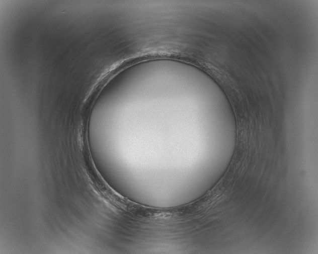 X0000060260064200510281019