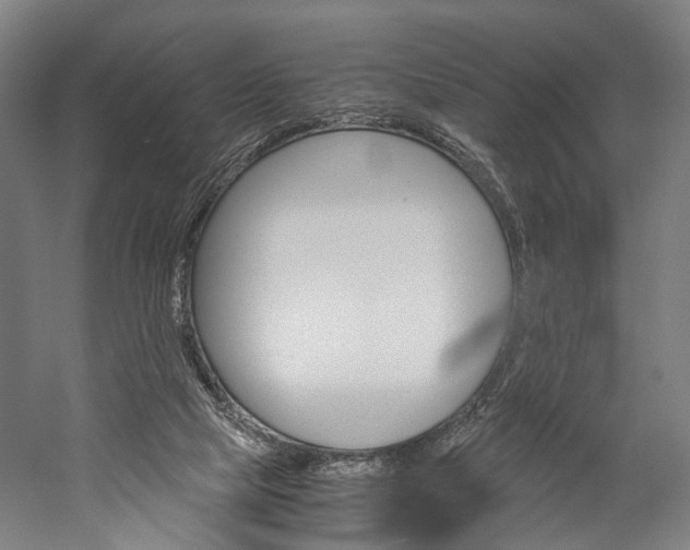 X0000060260065200510281019