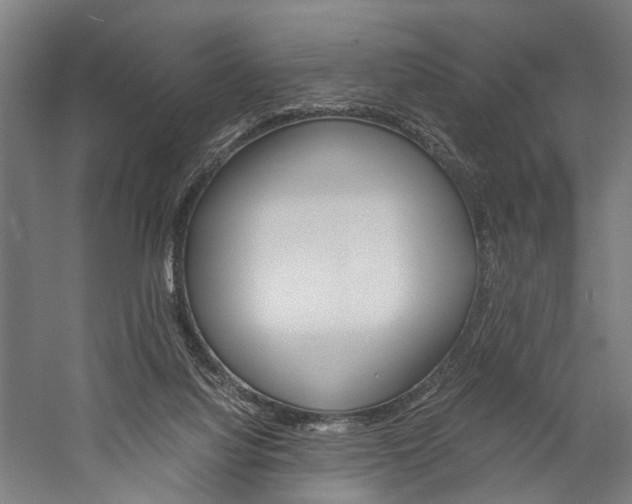 X0000060260068200510281020