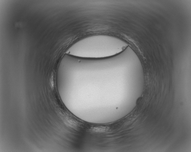 X0000060260069200510281020