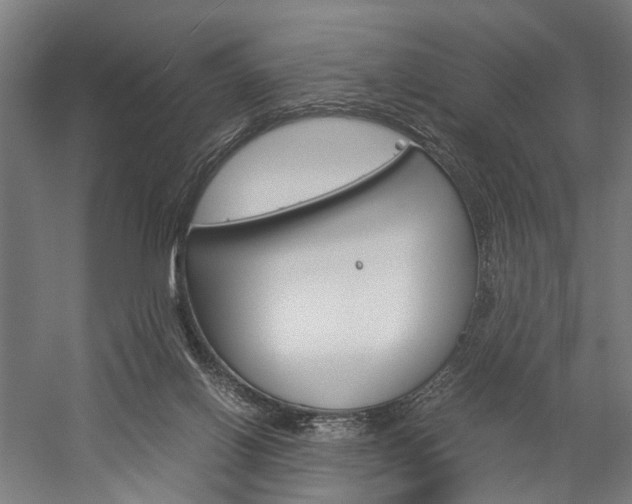 X0000060260070200510281020