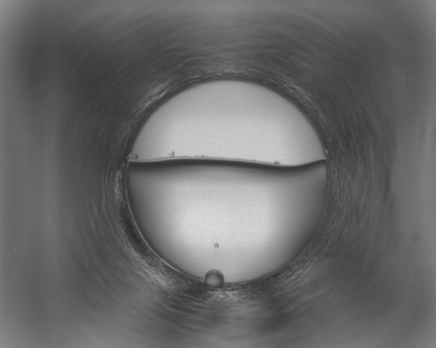 X0000060260071200510281020