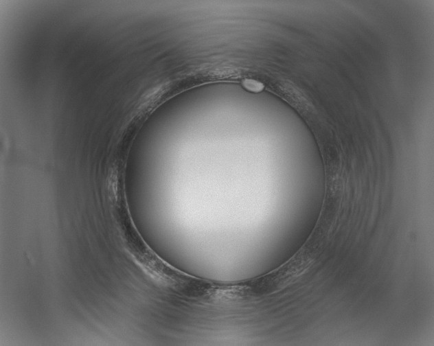 X0000060260072200510281020