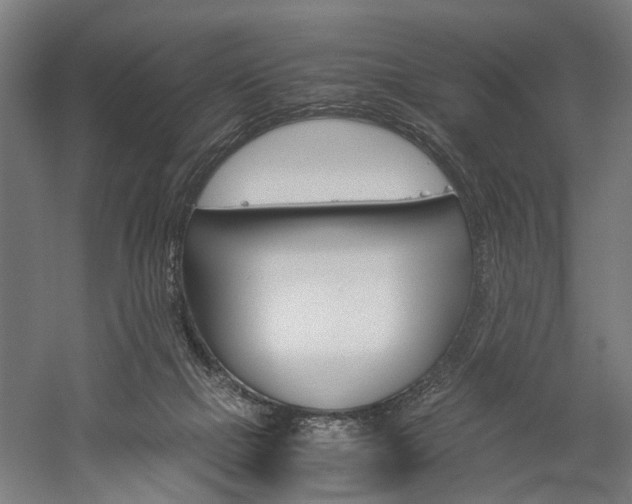 X0000060260073200510281020