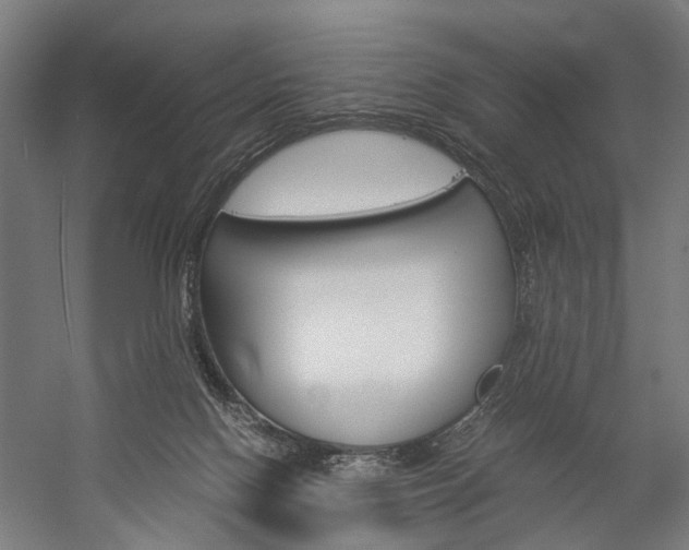 X0000060260074200510281020