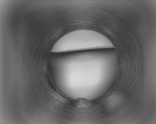 X0000060260077200510281020