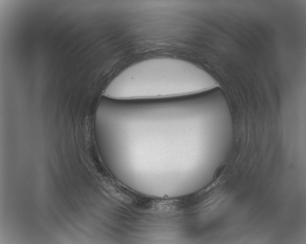 X0000060260078200510281020