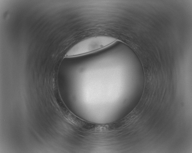 X0000060260080200510281020