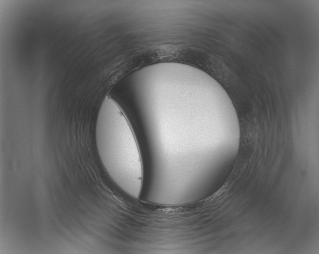 X0000060260082200510281020