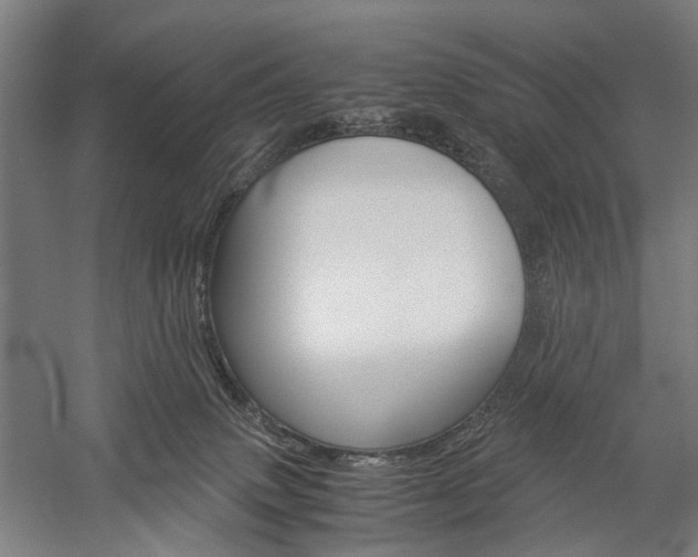 X0000060260083200510281020