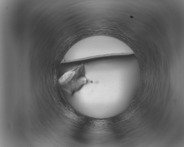 X0000060260085200510281020