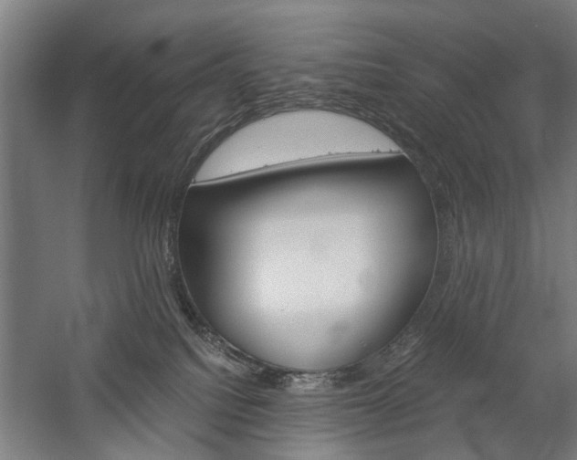 X0000060260088200510281020