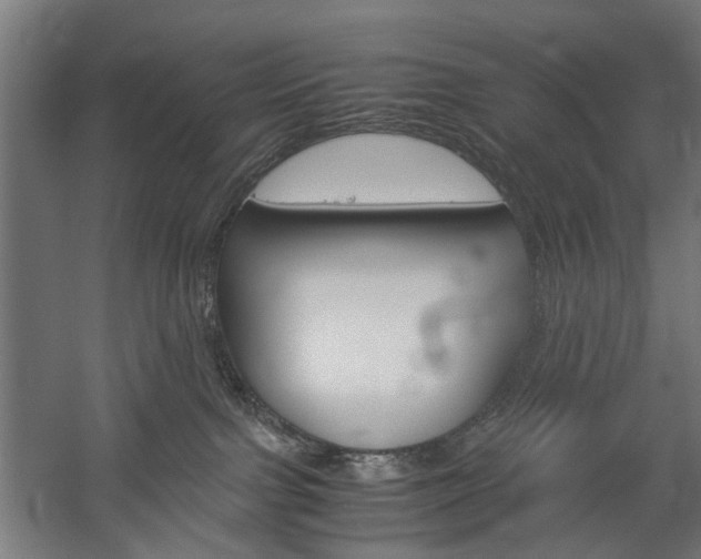 X0000060260091200510281020