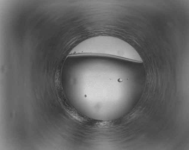 X0000060260092200510281020