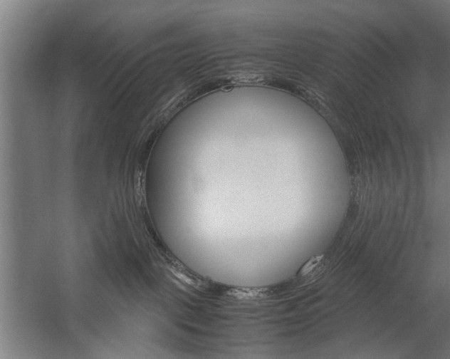 X0000060260093200510281020