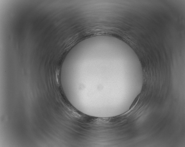 X0000060260094200510281020